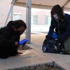 two people measuring the ground