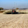 Basalt is applied to fields at the University of Illinois Energy Farm. (Photo courtesy of iSEE)