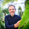 Jim Dalling in greenhouse with ferns