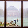 a view of a building out a window