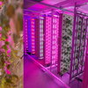 A woman in a lab coat looking at plants growing with fluorescent lights