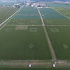 a drone shot of a soy field