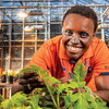 A smiling woman in an orange shirt standing behind tomato plants in a green house 