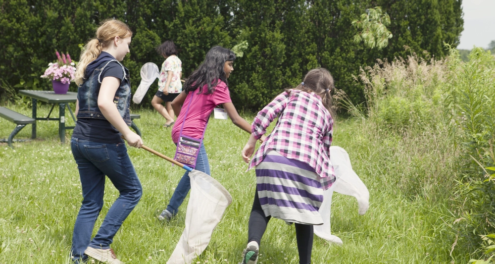 children in a field with nets
