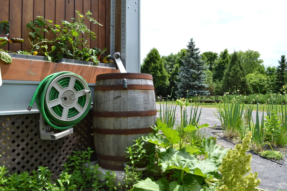 a photo of a rain barrell