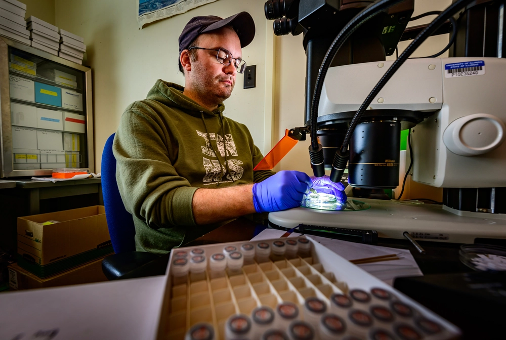 A man working at a microscope