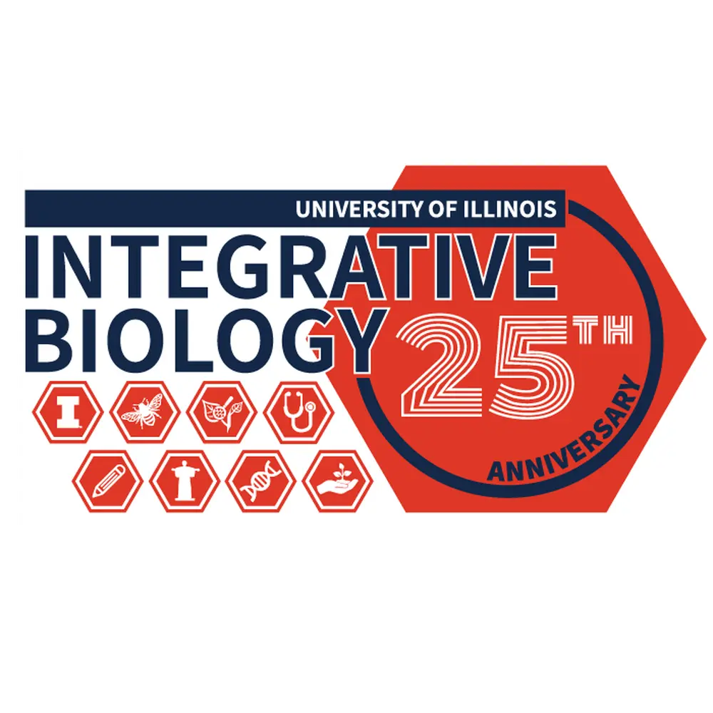 a graphic with hexagons announcing SIB's 25th anniversary