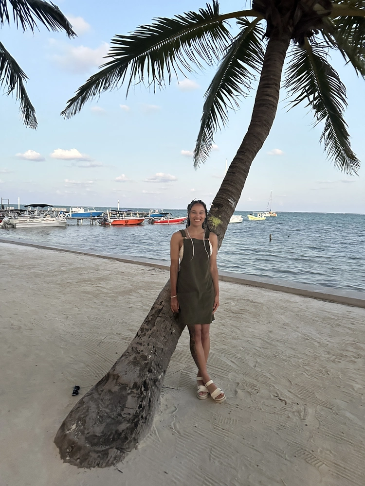 A person leaning on a palm tree next to the ocean