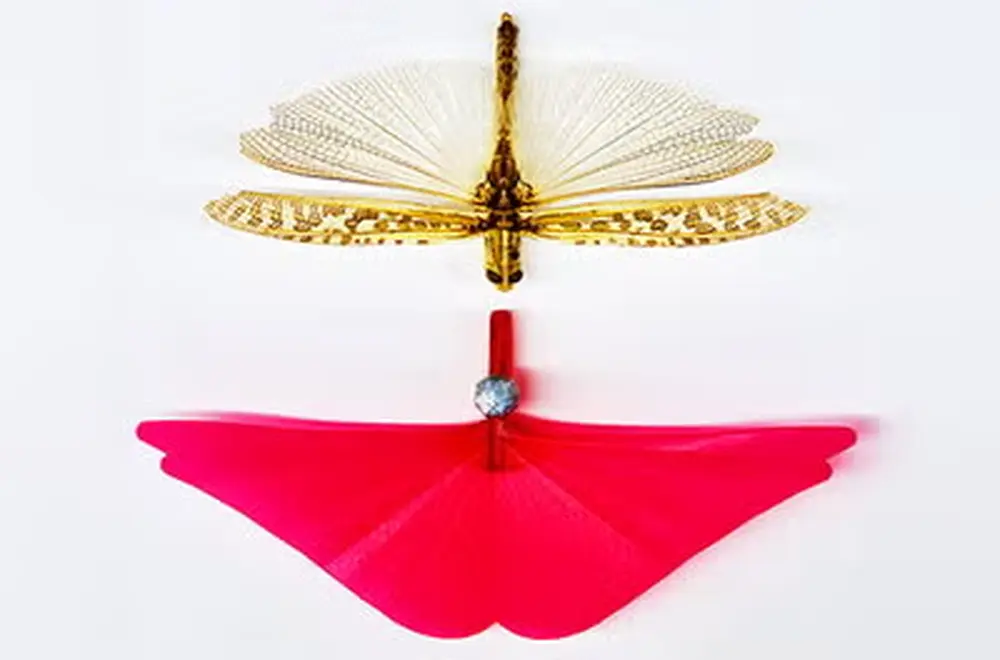 A grasshopper next to a red 3d model