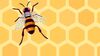 cartoon image of bee