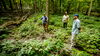 three people in a forest