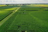 An aerial view of the SoyFACE research facility