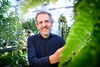 Jim Dalling in greenhouse with ferns