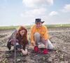 A man and a woman working in a field together