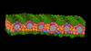 A machine-learning labeled cross-section of a sorghum leaf generated with microCT imaging