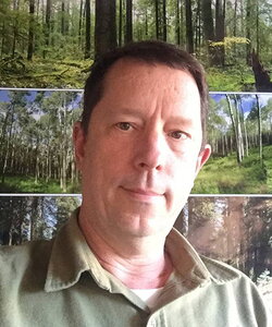 A man in a green polo with several photos of woods in a grid pattern behind him.