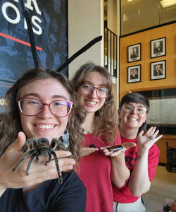 three people holding up cockroaches and tarantulas