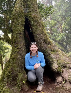 A photo of Helene Dineheart kneeling partially in a large tree