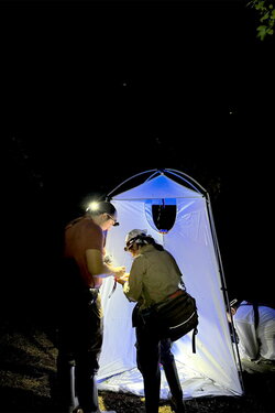 Two people working outside of a tent at night